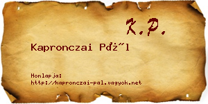 Kapronczai Pál névjegykártya